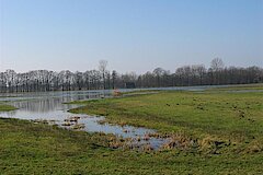 Feuchtgebiet Saerbeck © Biologische Station Steinfurt e.V.