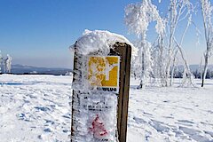 Winter auf dem Kahlen Asten © Naturpark Sauerland-Rothaargebirge - Kerstin Berens