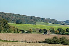 Blick auf den langgezogenen Höhenzug der Baumberge © Birgit Stephan