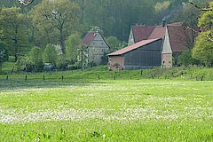 Alte Hoflage im nahe gelegenen Stevertal © Birgit Stephan