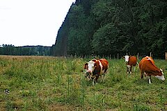 Bewirtschaftung am Heidberg © Christoph Hester