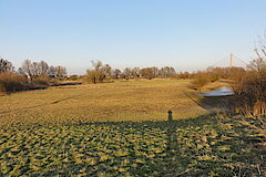 Uedescheim nach Hochwasser © Haus der Natur, Biologische Station im Rhein-Kreis Neuss e.V.