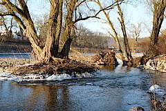 Ein naturnaher Fluss sucht sich seinen Weg © Werner Schubert