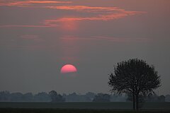 Teverener Heide Sonnenaufgang © Naturschutzstation Haus Wildenrath