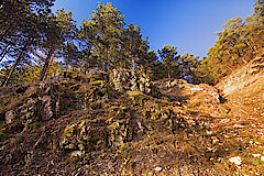 Felsen am Heinberg © Frank Grawe