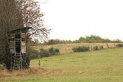 Hochsitz © Regionalforstamt Siegen-Wittgenstein