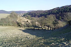 Das Eschweiler Tal © Biologische Station im Kreis Euskirchen