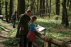 Spaziergang am Kräuter- und Geophytenpfad © Birgit Stephan