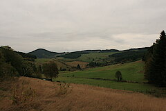 Wiesen- und Weidenflächen bei Bad Laasphe © Regionalforstamt Siegen-Wittgenstein