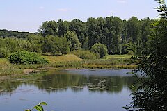 Teiche in der Ruhraue © J. Arnold