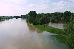 Ungewöhnliches Frühsommer-Hochwasser im Juni 2013 © Biologische Station Bonn / Rhein-Erft