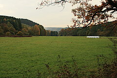 Herbstlandschaft © Regionalforstamt Siegen-Wittgenstein