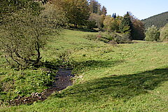 Liese mit Feuchtgrünland © Biologische Station HSK