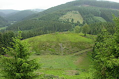 Hilmesberg © Biologische Station Hochsauerlandkreis e.V.