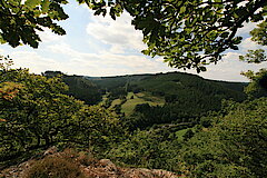 Panoramablick © Regionalforstamt Siegen-Wittgenstein