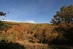 Herrliche Ausblicke © Regionalforstamt Siegen-Wittgenstein