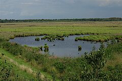 Recker Moor © Biologische Station Steinfurt e.V.