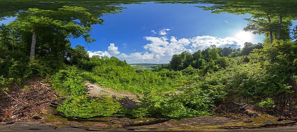 Schwiemelkopf © NABU NRW