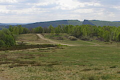 Magerwiesen und Heiden auf dem Höhenzug © Peter Fasel