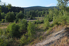 Blick ueber das Haldengelaende im unteren, westlichen Teil © Biologische Station Siegen-Wittgenstein