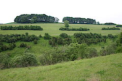 Blick ins Tal © Biologische Station HSK