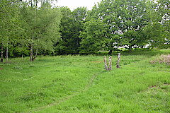 Münsterbachtal © Biologische Station Städteregion Aachen e.V.