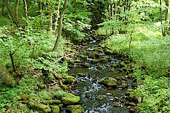 Naturnahe Fließgewässer im Weier- und Winterbachtal © Michael Gertz