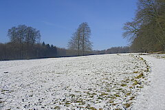 Ochsenheide im Winter © Biologische Station Gütersloh-Bielefeld