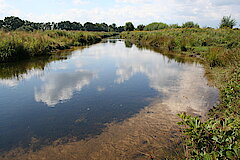 Ems an der Rietberger Emsniederung © Biologische Station Gütersloh-Bielefeld