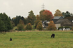 Gehöft bei Birkefehl © Regionalforstamt Siegen-Wittgenstein