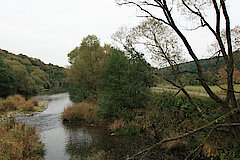 Naturnahe Eder © Regionalforstamt Siegen-Wittgenstein