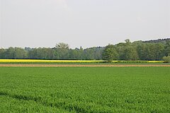 Farbiges Dhünntal © Biostation-Rhein-Berg