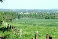 Blick über die münsterländische Parklandschaft © Birgit Stephan