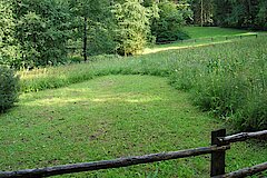 Wiesenpflege der Biologischen Station Lippe © H. Sonnenburg