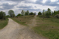 Zahlreiche Wanderwegemöglichkeiten © Peter Fasel