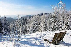 Kahler Asten © Naturpark Sauerland Rothaargebirge - Kerstin Berens