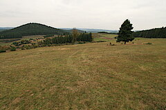 Strukturreiches Grünland © Regionalforstamt Siegen-Wittgenstein