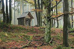 Waldkapelle © Regionalforstamt Siegen-Wittgenstein