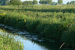 Wasserweg © Daniel Doer