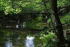 Ruhr zwischen Olsberg und Assinghausen © Werner Schubert