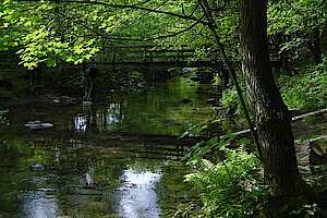 Ruhr zwischen Olsberg und Assinghausen