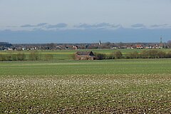 Kalkscherbenacker bei Störmede. Im Herbst rasten hier Greifvögel, Kiebitze und Felderchen © Ralf Joest