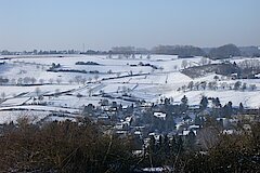 Winterblick © Biologische Station Bonn / Rhein-Erft