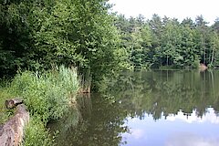 Der benachbarte Silbersee lohnt einen Abstecher © Biologische Station Bonn / Rhein-Erft