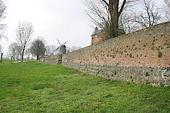 Stadtmauer Zons © Haus der Natur, Biologische Station im Rhein-Kreis Neuss e.V.