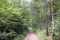 Waldweg © Biologische Station Bonn / Rhein-Erft