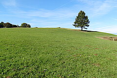 Unteres Genfbachtal © Biologische Station im Kreis Euskirchen