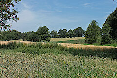 FFH-Gebiet Bäche im Artland © M. Schnieders