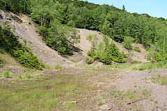 Haldengelände im NSG Unteres Buchhellertal © Michael Gertz