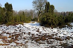 Winter in der Heide © Kreis Recklinghausen